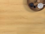 Amaron Wood EIR Virgin Oak CAS 227 - imagine 2